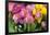 New York City, NY, USA. Floral Displays for Spring-Julien McRoberts-Framed Photographic Print