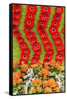 New York City, NY, USA. Floral Displays for Spring-Julien McRoberts-Framed Stretched Canvas