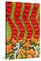 New York City, NY, USA. Floral Displays for Spring-Julien McRoberts-Stretched Canvas