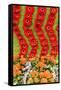 New York City, NY, USA. Floral Displays for Spring-Julien McRoberts-Framed Stretched Canvas