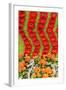 New York City, NY, USA. Floral Displays for Spring-Julien McRoberts-Framed Photographic Print