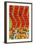 New York City, NY, USA. Floral Displays for Spring-Julien McRoberts-Framed Photographic Print