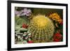 New York City, NY, USA. Floral Displays for Spring-Julien McRoberts-Framed Photographic Print