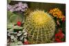 New York City, NY, USA. Floral Displays for Spring-Julien McRoberts-Mounted Photographic Print