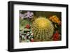 New York City, NY, USA. Floral Displays for Spring-Julien McRoberts-Framed Photographic Print