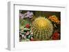 New York City, NY, USA. Floral Displays for Spring-Julien McRoberts-Framed Photographic Print