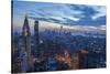 New York City, Ny, USA-Julien McRoberts-Stretched Canvas