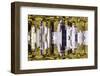 New York City Reflections Series-Philippe Hugonnard-Framed Photographic Print