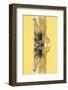 New York City Reflections Series-Philippe Hugonnard-Framed Photographic Print