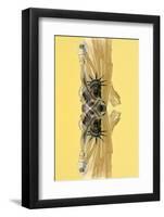 New York City Reflections Series-Philippe Hugonnard-Framed Photographic Print