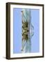 New York City Reflections Series-Philippe Hugonnard-Framed Photographic Print