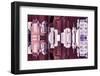 New York City Reflections Series-Philippe Hugonnard-Framed Photographic Print