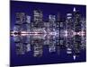 New York City Skyline at Night Light, Lower Manhattan-Zigi-Mounted Photographic Print