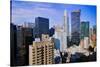 New York City skyline from 42nd floor, New York-null-Stretched Canvas