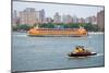 New York City Staten Island Ferry Photo Print Poster-null-Mounted Poster