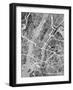 New York City Street Map-Michael Tompsett-Framed Art Print