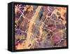 New York City Street Map-Michael Tompsett-Framed Stretched Canvas