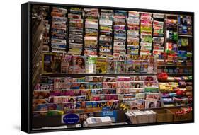 New York City Subway News Stand Photo Poster-null-Framed Stretched Canvas