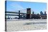 New York City-cpenler-Stretched Canvas