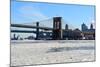 New York City-cpenler-Mounted Photographic Print