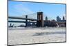 New York City-cpenler-Mounted Photographic Print