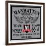 New York College Graphic Design for T-Shirt-emeget-Framed Art Print