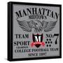 New York College Graphic Design for T-Shirt-emeget-Framed Stretched Canvas