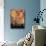 New York Color V-Sven Pfrommer-Mounted Giclee Print displayed on a wall