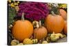 New York, Cooperstown, Farmers Museum. Decorative pumpkin display.-Cindy Miller Hopkins-Stretched Canvas