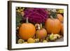 New York, Cooperstown, Farmers Museum. Decorative pumpkin display.-Cindy Miller Hopkins-Framed Photographic Print