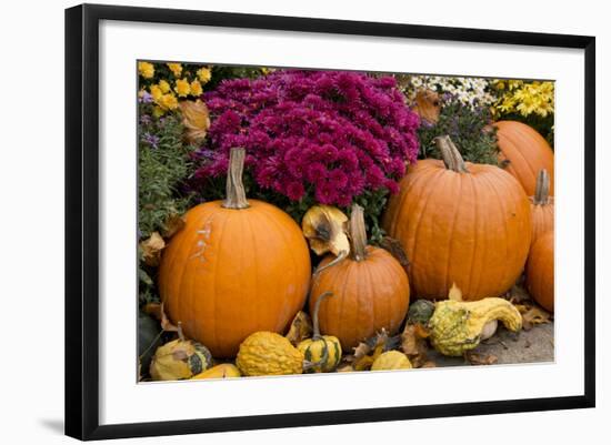 New York, Cooperstown, Farmers Museum. Decorative pumpkin display.-Cindy Miller Hopkins-Framed Photographic Print