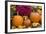 New York, Cooperstown, Farmers Museum. Decorative pumpkin display.-Cindy Miller Hopkins-Framed Photographic Print