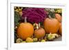 New York, Cooperstown, Farmers Museum. Decorative pumpkin display.-Cindy Miller Hopkins-Framed Photographic Print