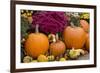New York, Cooperstown, Farmers Museum. Decorative pumpkin display.-Cindy Miller Hopkins-Framed Photographic Print