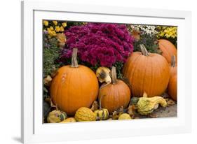 New York, Cooperstown, Farmers Museum. Decorative pumpkin display.-Cindy Miller Hopkins-Framed Photographic Print