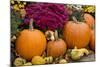 New York, Cooperstown, Farmers Museum. Decorative pumpkin display.-Cindy Miller Hopkins-Mounted Photographic Print