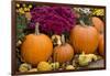 New York, Cooperstown, Farmers Museum. Decorative pumpkin display.-Cindy Miller Hopkins-Framed Photographic Print