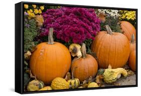 New York, Cooperstown, Farmers Museum. Decorative pumpkin display.-Cindy Miller Hopkins-Framed Stretched Canvas