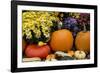 New York, Cooperstown, Farmers Museum. Decorative Pumpkin Display-Cindy Miller Hopkins-Framed Photographic Print