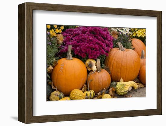 New York, Cooperstown, Farmers Museum. Decorative pumpkin display.-Cindy Miller Hopkins-Framed Photographic Print