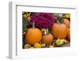 New York, Cooperstown, Farmers Museum. Decorative pumpkin display.-Cindy Miller Hopkins-Framed Photographic Print