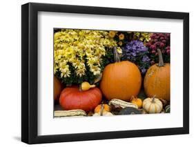 New York, Cooperstown, Farmers Museum. Decorative Pumpkin Display-Cindy Miller Hopkins-Framed Photographic Print