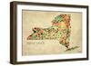 New York County Map-David Bowman-Framed Giclee Print