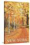 New York - Fall Colors Scene-Lantern Press-Stretched Canvas