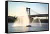 New York Fire Department Boat Spraying Water Photo Poster-null-Framed Stretched Canvas