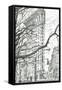 New York Flat Iron Building, 2003-Vincent Alexander Booth-Framed Stretched Canvas