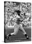 New York Giants Centerfielder Willie Mays at Bat-Alfred Eisenstaedt-Stretched Canvas
