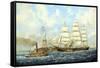 New York Harbor-Jack Wemp-Framed Stretched Canvas