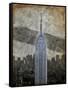 New York II-Art Roberts-Framed Stretched Canvas