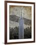 New York II-Art Roberts-Framed Art Print